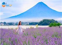 Tour Nhật Bản Cung Đường Làng Cổ Shirakawa-go 6N5Đ